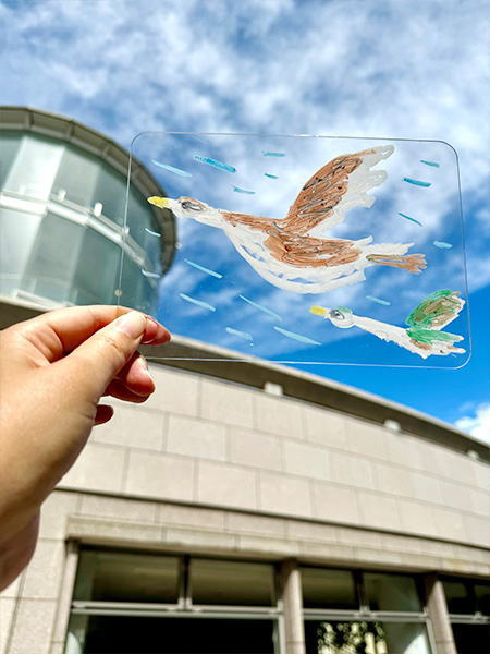 お空に絵を描いて写真を撮ろう!